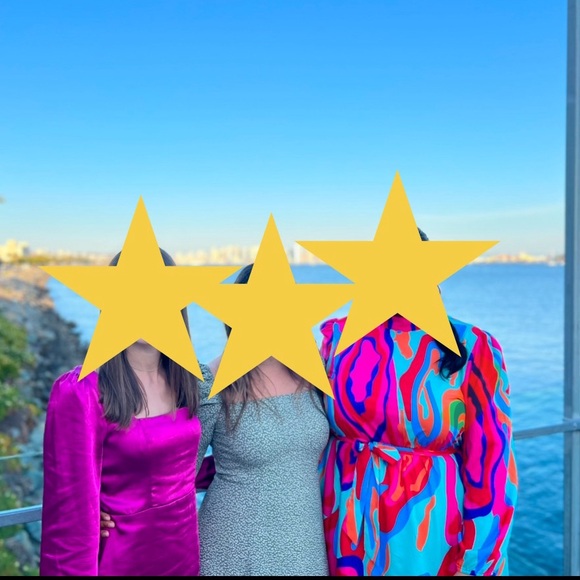 & Other Stories Puff Sleeve Dress - Picture 4 of 4